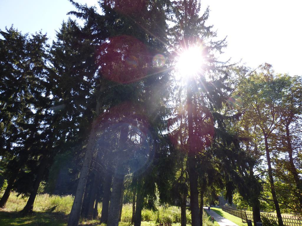 Villa Meteor Mariánské Lázně Exteriör bild
